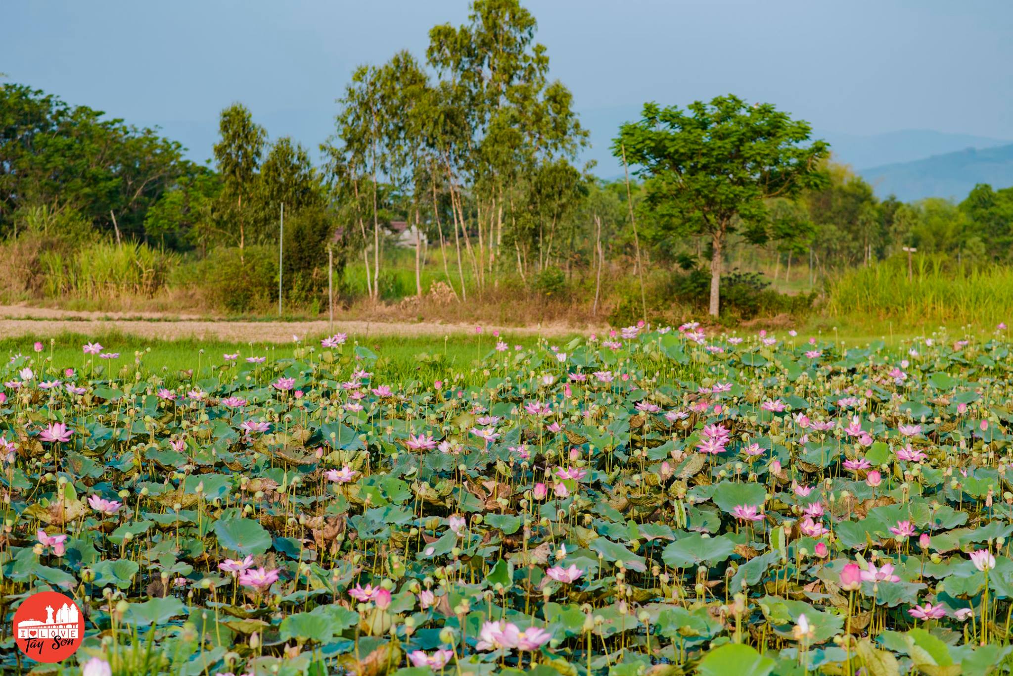 Hòa hiệp, trăn trở một miền quê