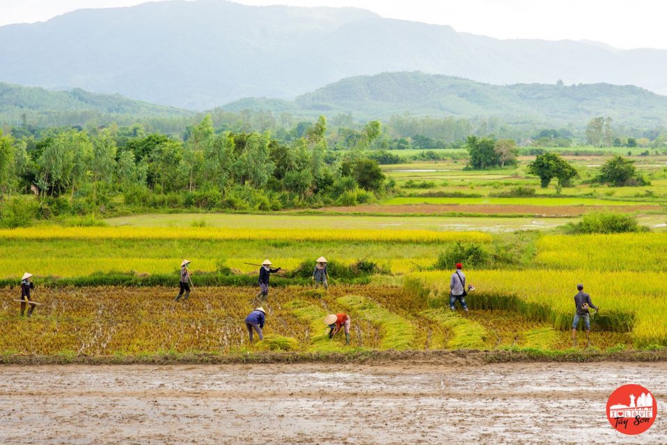 Tây sơn: hoàn thành giáo dục chính trị hè năm 2014 cho đội ngũ cán bộ giáo viên